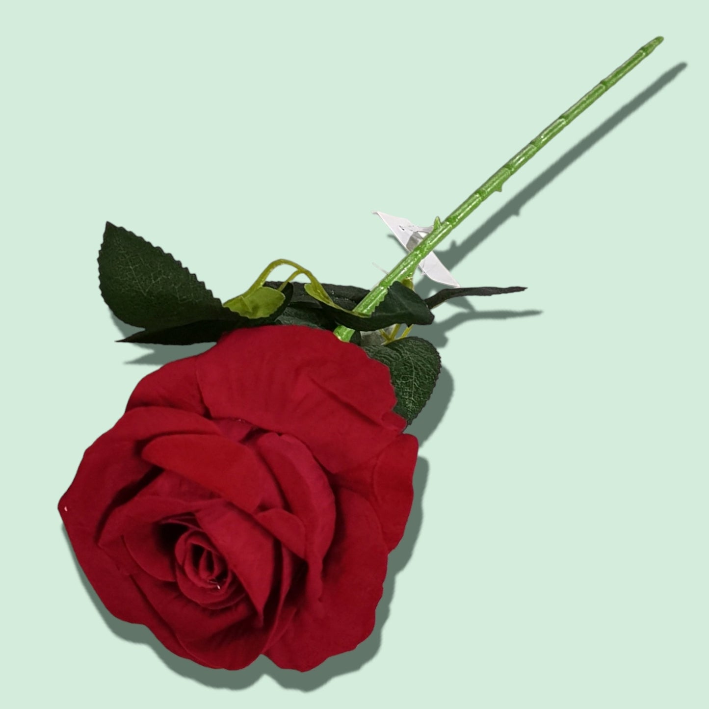 ROSA 1RAMO ZF02 B