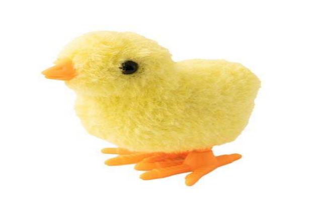 POLLITO CUERDA