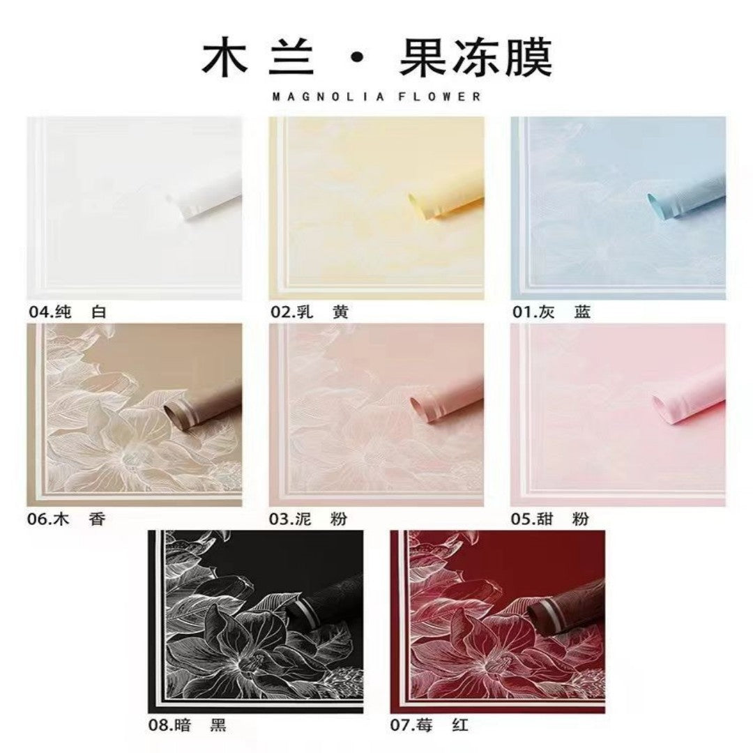 PAPEL REGALO 20PCS B