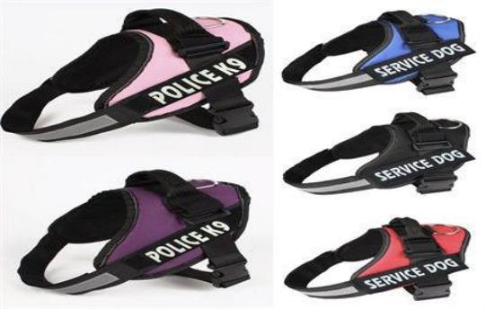 PECHERA K9 S