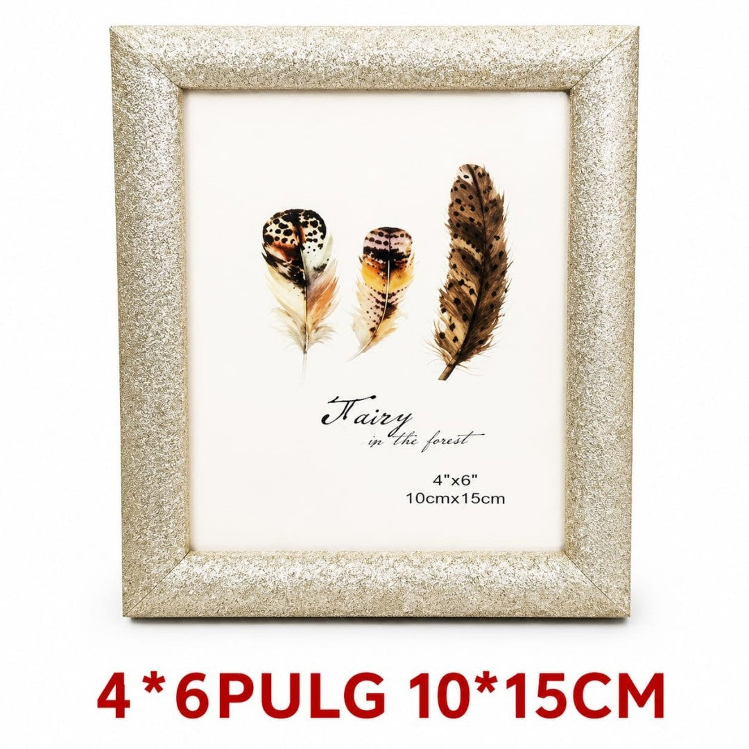 PORTARETRATO 4*6PULG 10*15CM MD5111