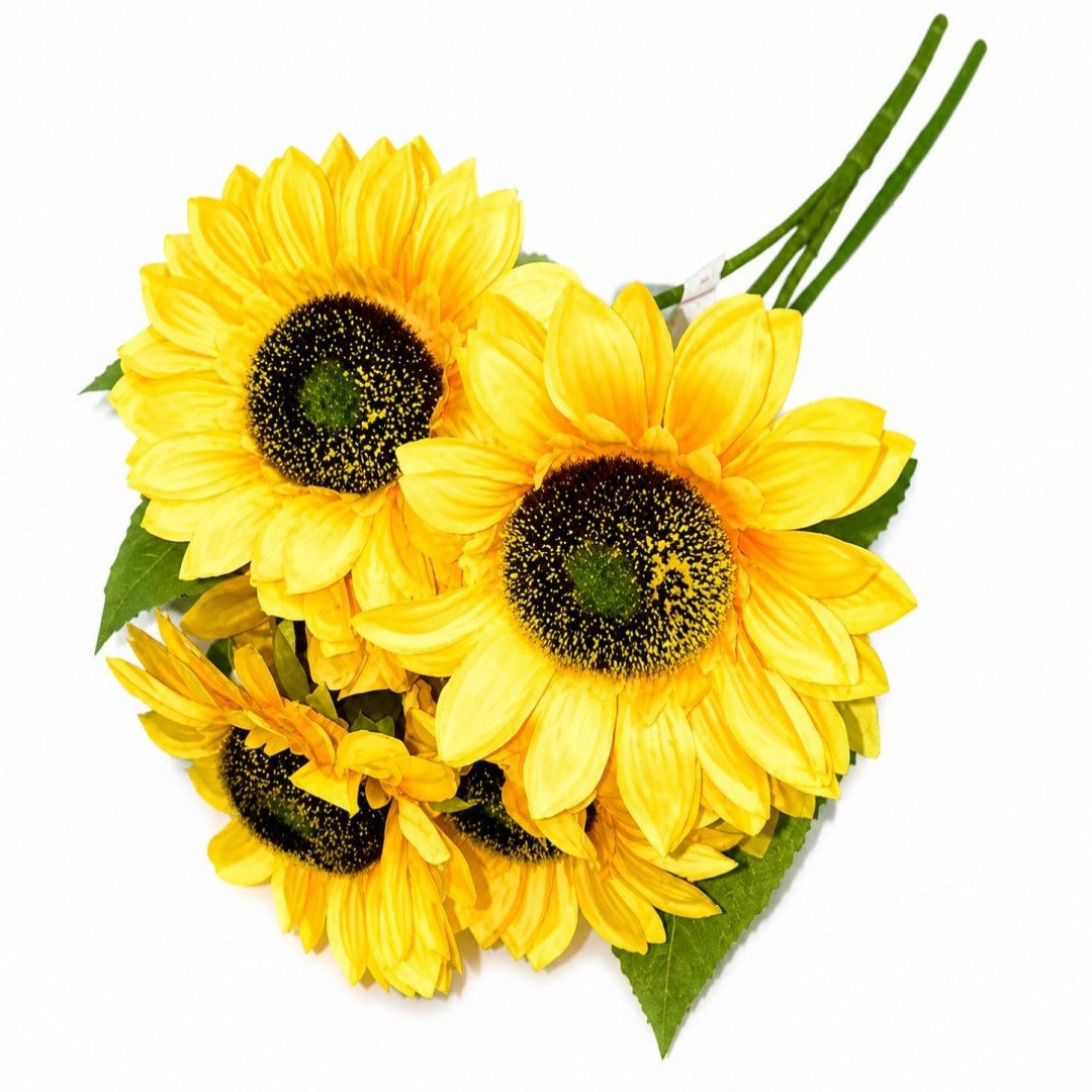 GIRASOL 5 CABEZA GDE