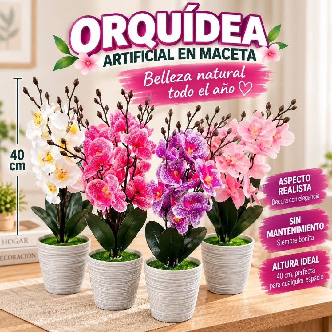 BONSAI ORQUITEA MACETA 18CM