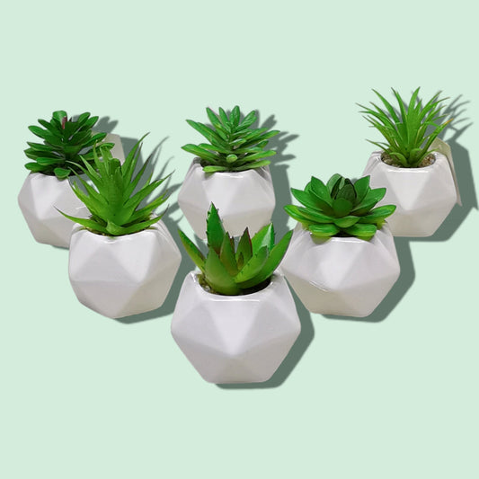 BONSAI CERAMICA 5*9CM C (192/bulto)