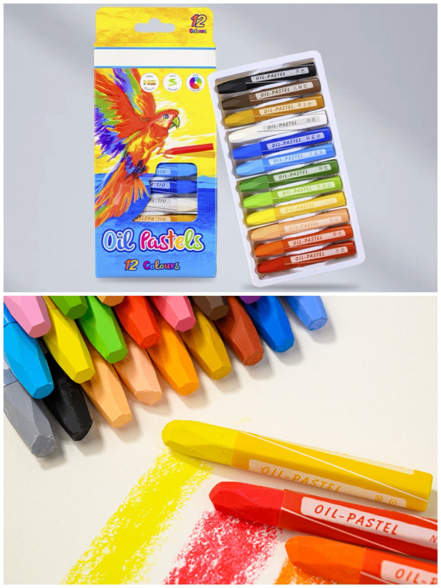 PALO OLEO 12COLOR 1002-12