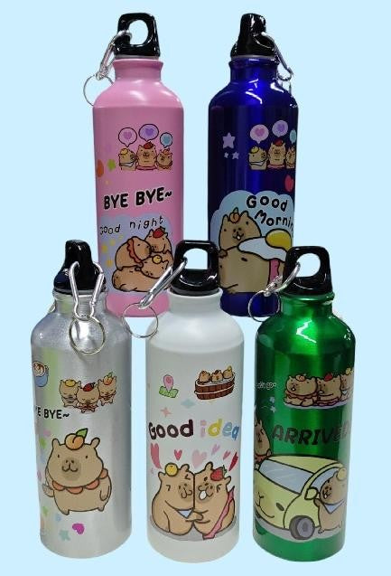 TERMO ALUMINIO PERSONAJE 500ML B