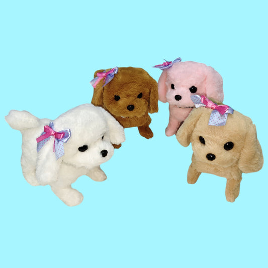 PERRO CAMINO LAZO COLOR