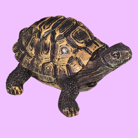 ADORNO TORTUGA WG-09