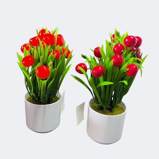 BONSAI MANDARINA 1954G