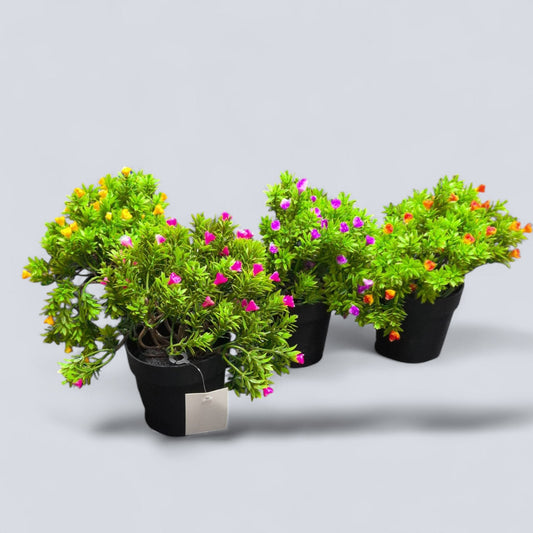 ROSA MINI EN MACETA HY-34