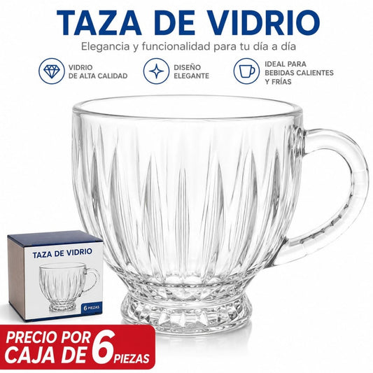 JARRA VIDRIO 6PCS JX-ZB45E