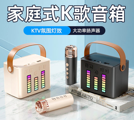 PARLANTE CON UN MICROFONO Q-2