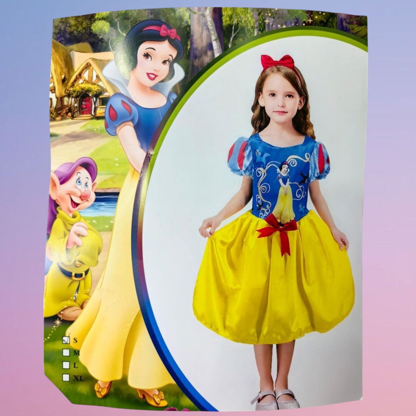 TRAJE PRINCESA ZYM5309