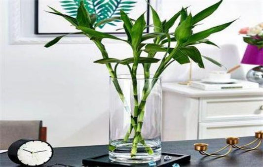 FLORERO VIDRIO 10*28 TUBO