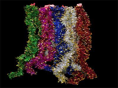 GUIRNALDA LENTEJUELA COLOR 2M DORADO 862