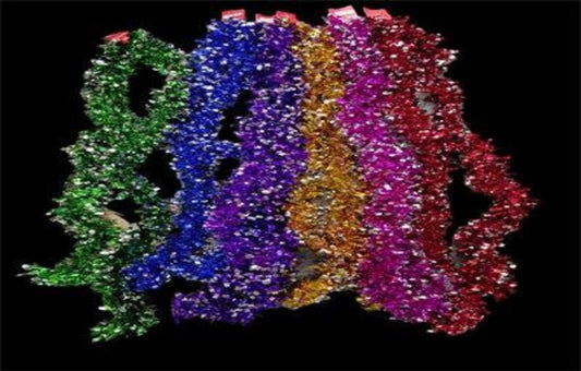 GUIRNALDA LENTEJUELA COLOR 2M PLADEADO 862