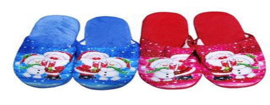 PANTUFLA COLACHO 36-41