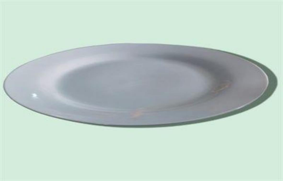 PLATO CERAMICA BLANCA 10PUL