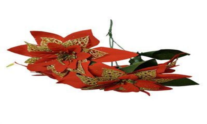 PASTORA 5 RAMO C/DORADO