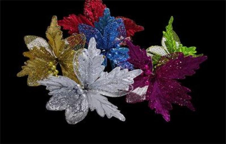 PASTORA 21CM GF190253