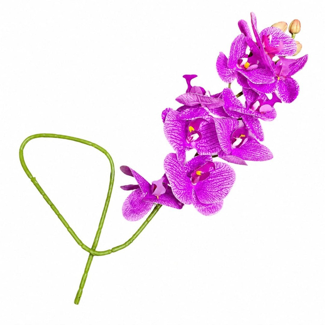ORQUIDEA WZC MORADO