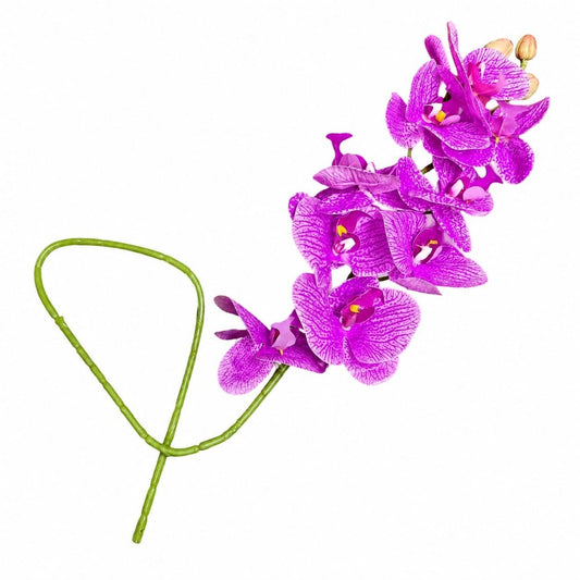 ORQUIDEA WZC MORADO