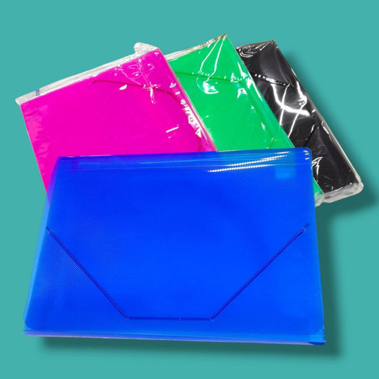 CARPETA LINGA A4