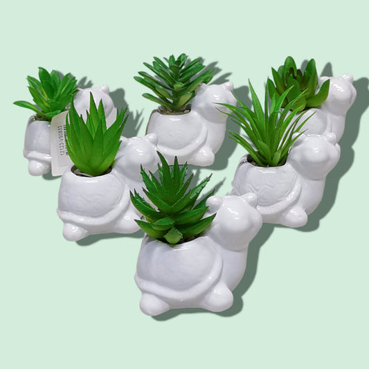 BONSAI CERAMICA TORTUGA 7*12CM