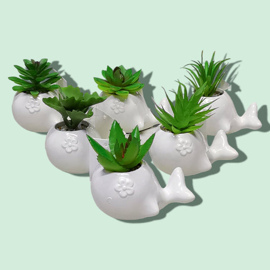 BONSAI CERAMICA DELFIN 7*12CM