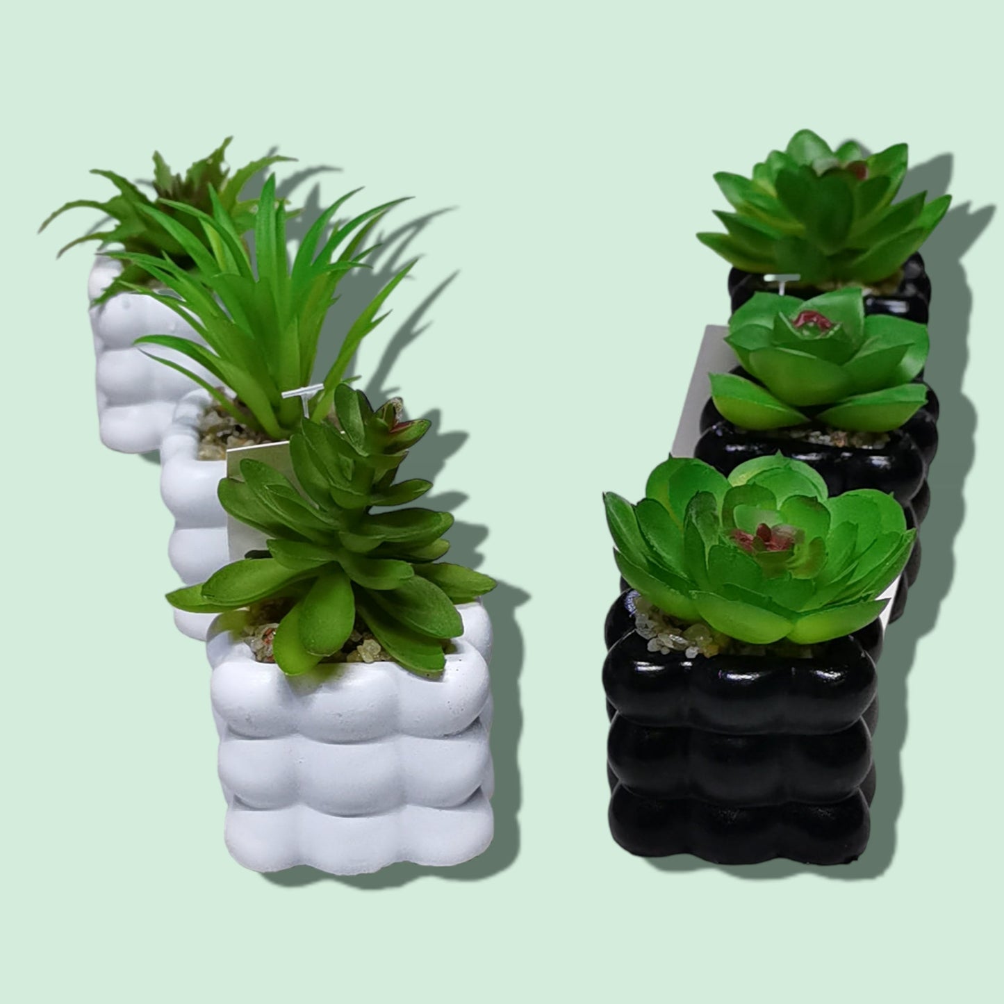 BONSAI CERAMICA CUADRADO 5*8CM