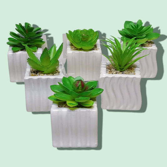 BONSAI CERAMICA RALLA 5*9CM