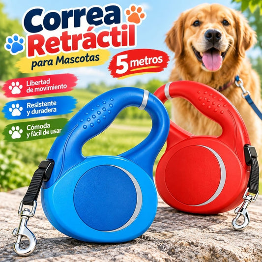 CORREA RETRACTIL 5M C2363