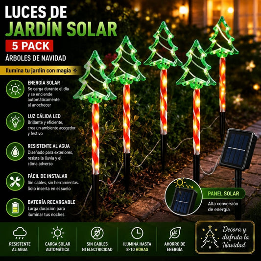 LUZ SOLAR PINO PALA ROJO
