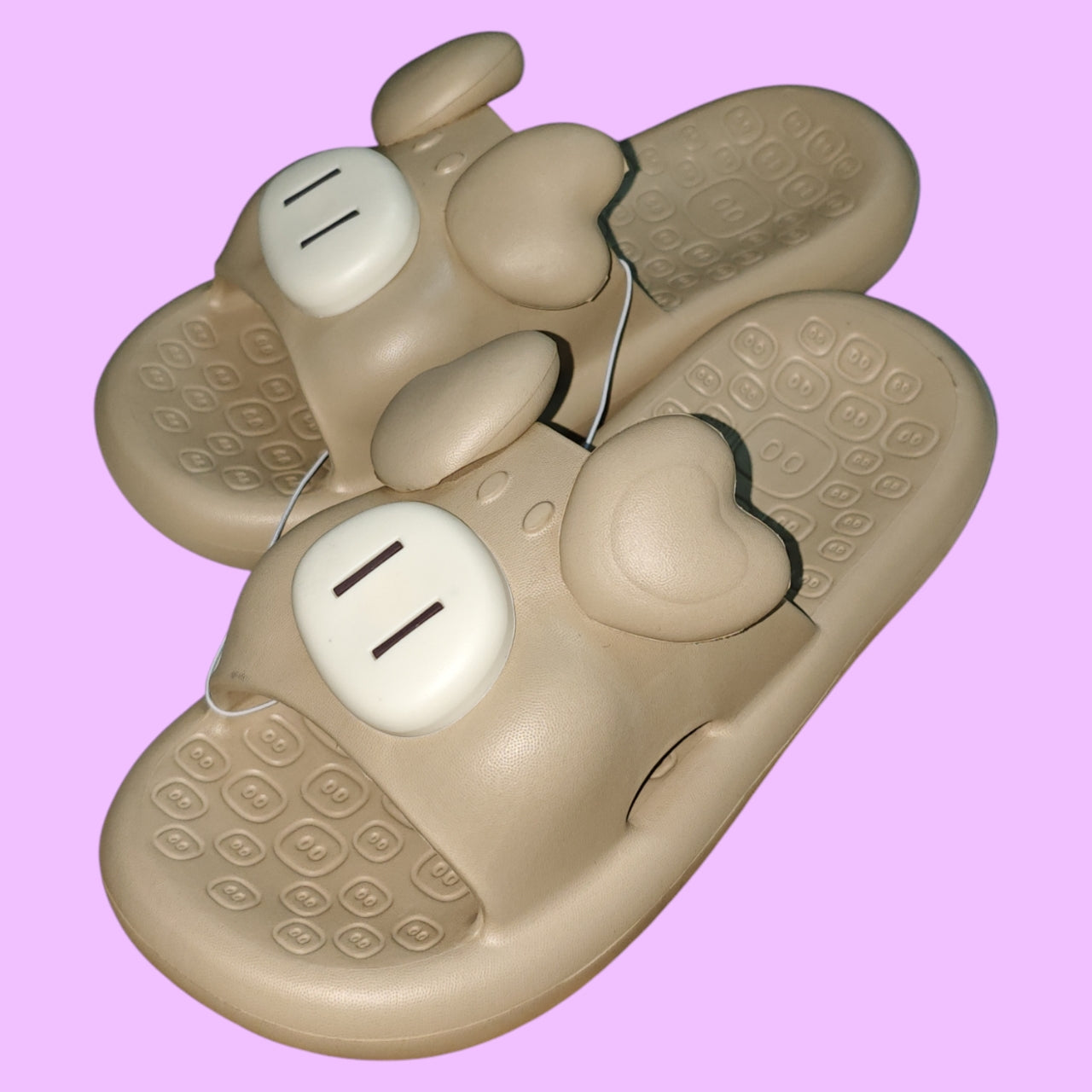 CHANCLETAS CHANCHO 36-41