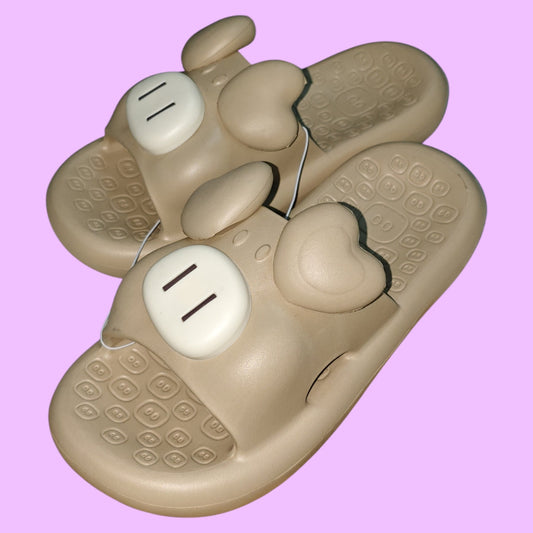 CHANCLETAS CHANCHO 36-41