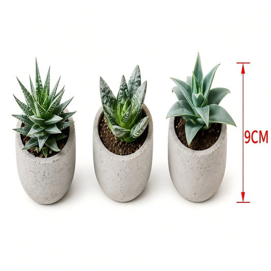 MACETA CON SUCULETA ARTIFICIAL 9CM
