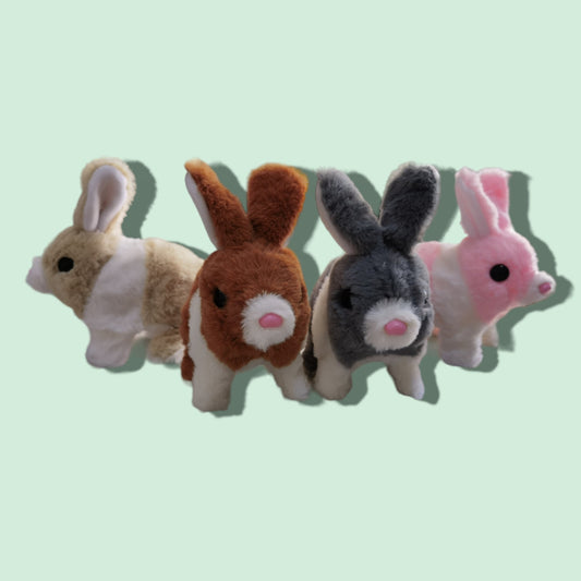 CONEJO CAMINO PELUDA