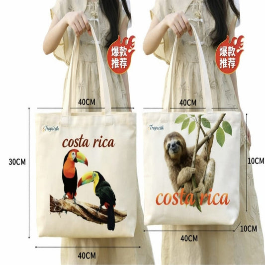 BOLSO TELA COSTA RICA 44*35*10